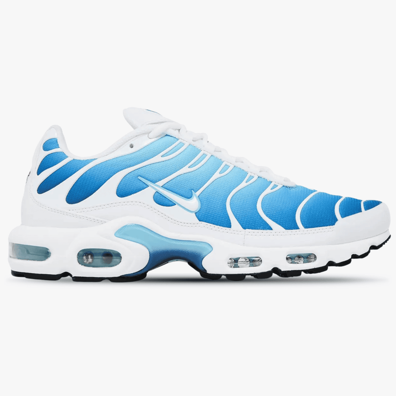 Nike Air Max Plus Sky Blue
