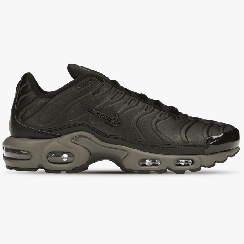 Nike Air Max Plus Premium Paris