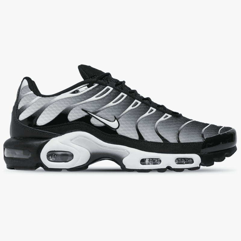 Nike Air Max Plus Black Silver White