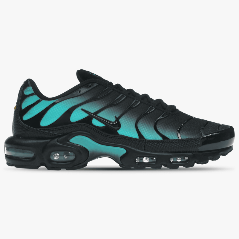 Nike Air Max Plus Black Dusty Cactus