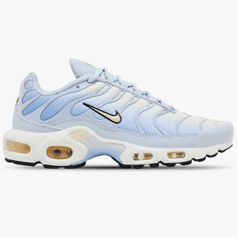 Nike Air Max Plus Daybreak