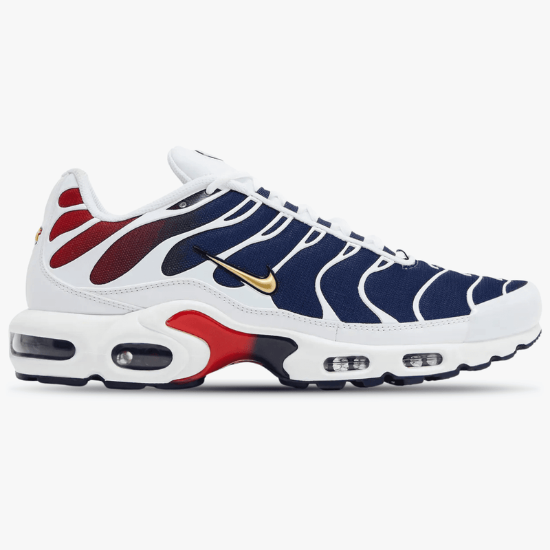 Nike Air Max Plus PSG